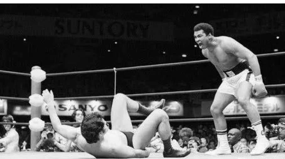 海贼王1030到1040话标题,海贼王1023话漫画解说