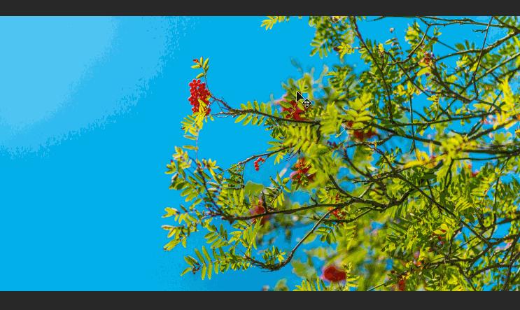 ps抠图还是cdr抠图,ps抠图教程手机可以抠图吗