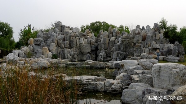 水上森林乐园景点,北京朝阳太阳宫附近免费游玩
