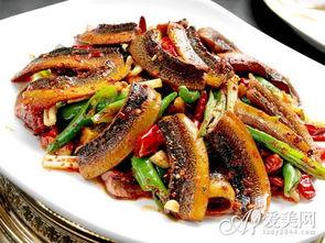 手把手教你钓黄鳝,怎样学习黄鳝养殖技术