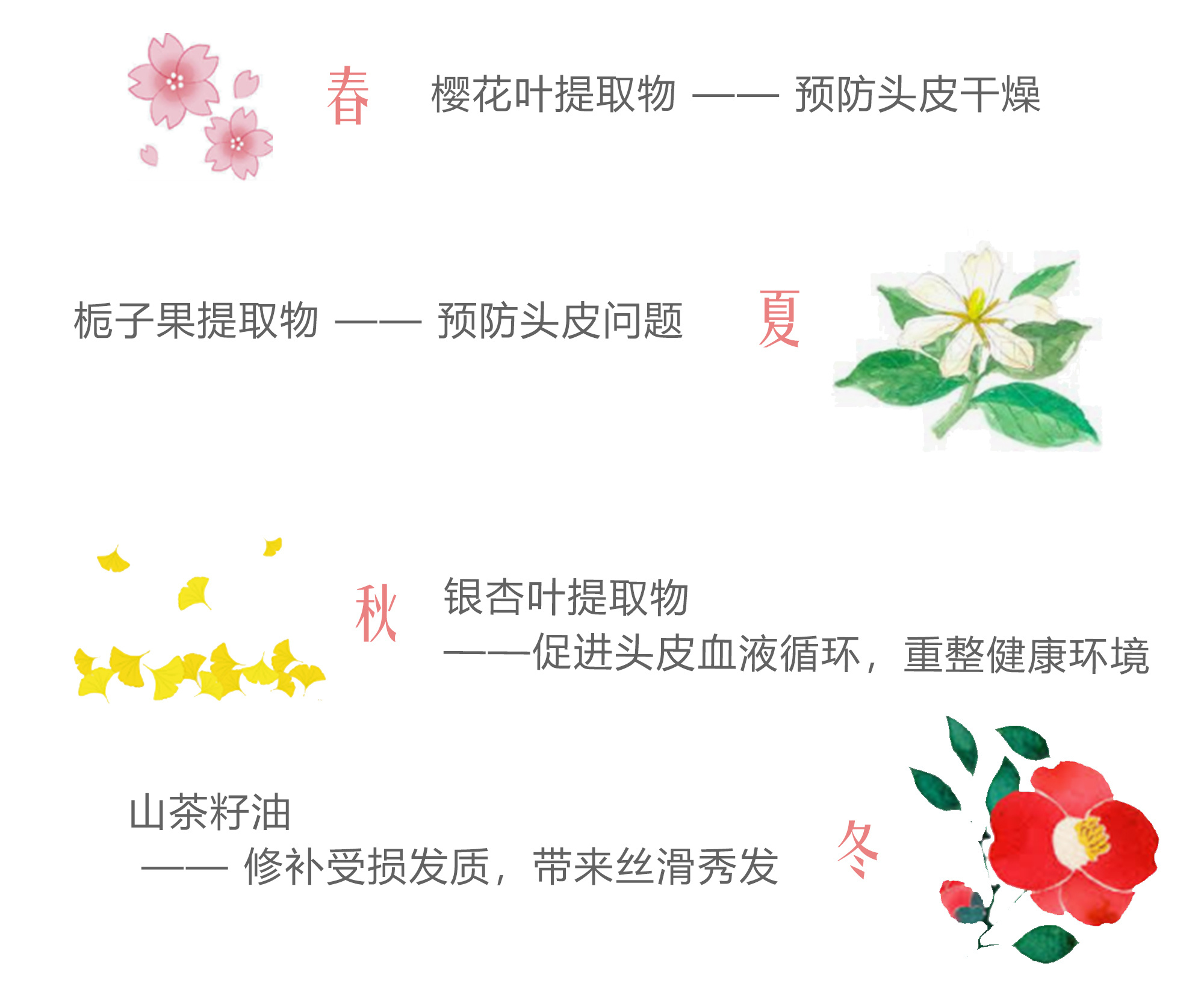 男士头发细软救星,头发软油塌的救星