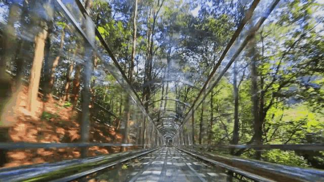 最近昆明有没有最值得去玩景点,推荐昆明最适合去玩的地方