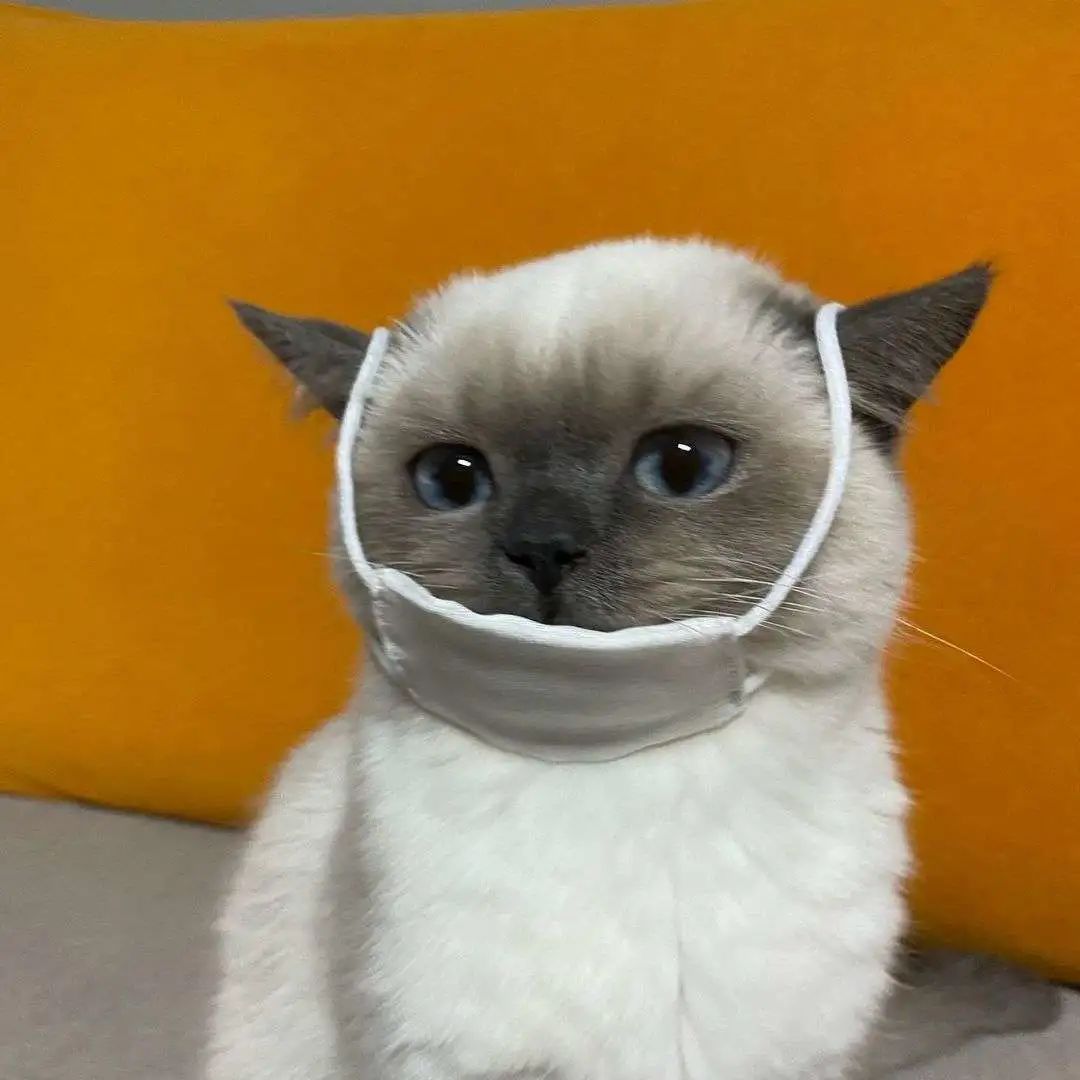 煤老板爆红完整版,煤老板ins