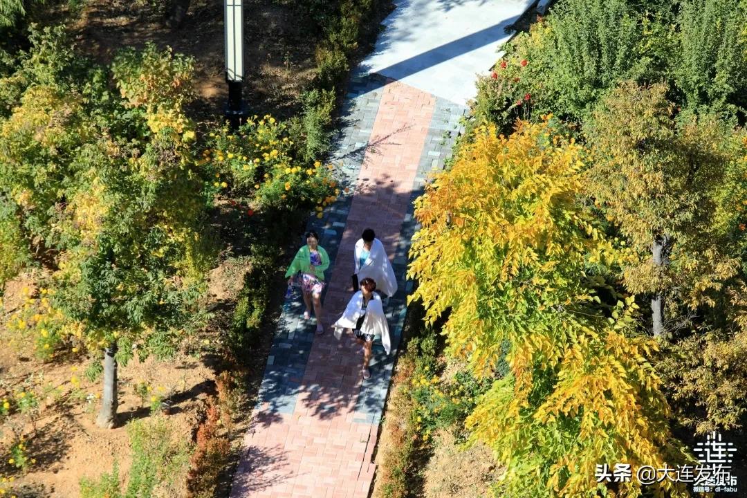 大连冬季室外泡温泉攻略,大连泡汤哪里好