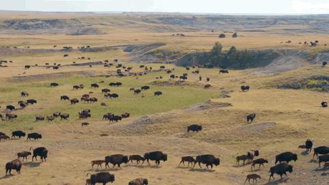 豆瓣2.5分神作,豆瓣9.5分的神作不该如此小众