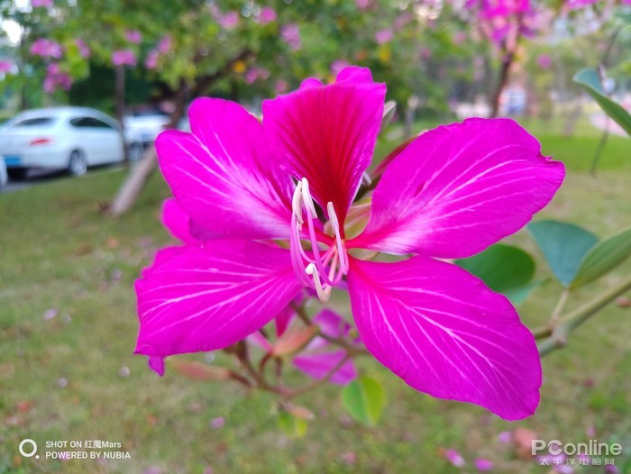 红魔mars手机游戏测评,红魔电竞手机mars多少钱