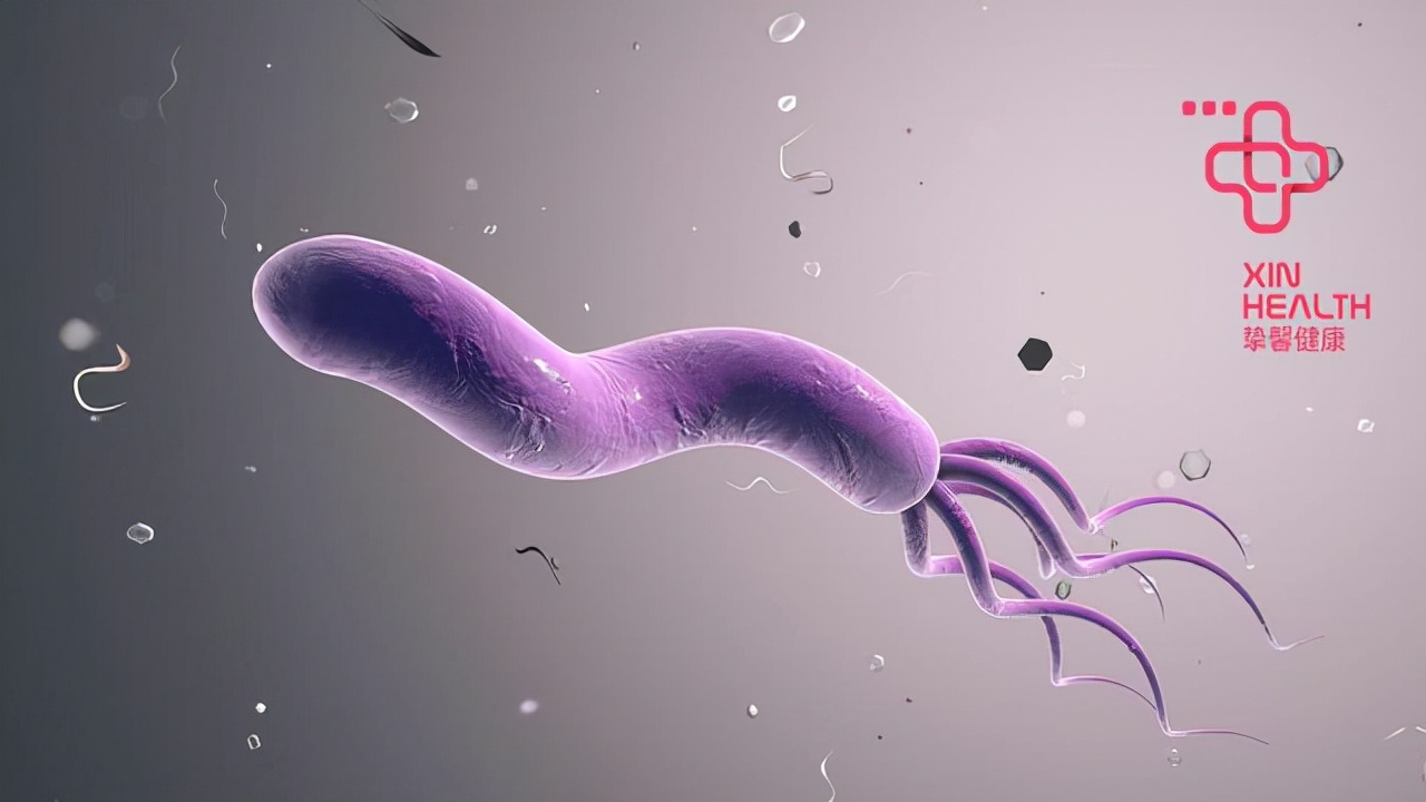 口苦口臭是幽门螺杆菌吗,幽门螺杆菌能导致口臭口苦吗