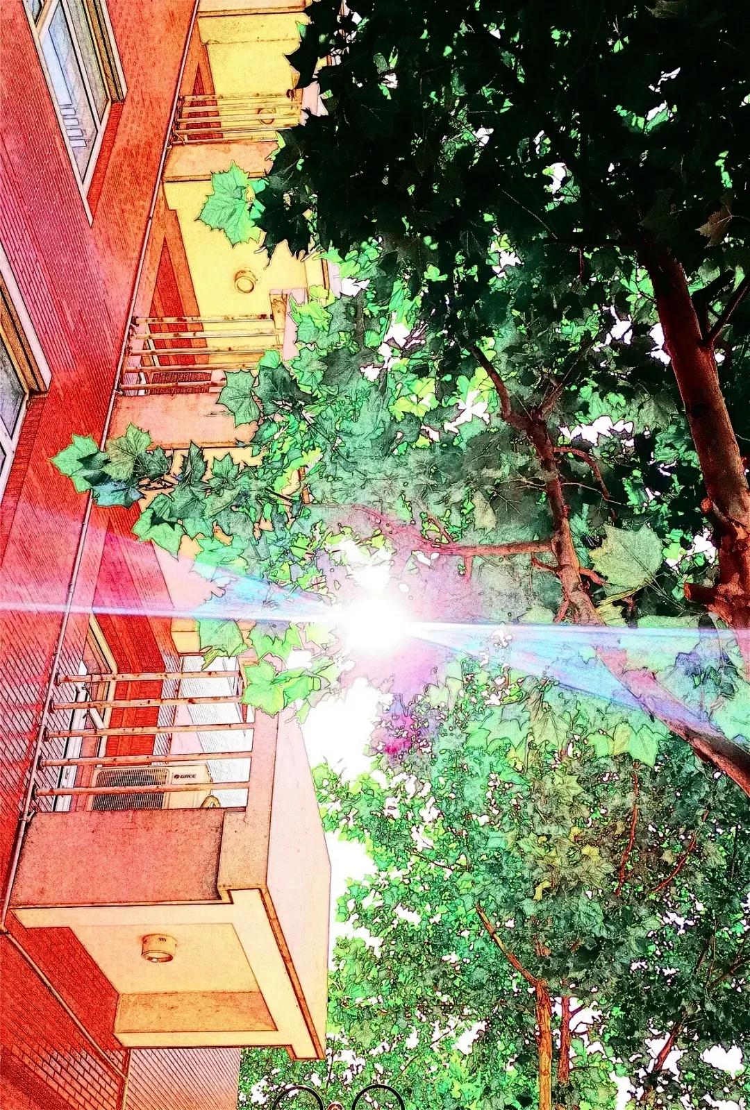 天津高级中学,天津市第二南开中学录取分数线