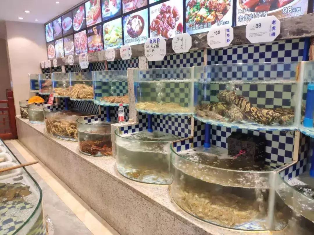 她17岁逃婚出深山，如今在无锡，开了南长街上最大的酒楼