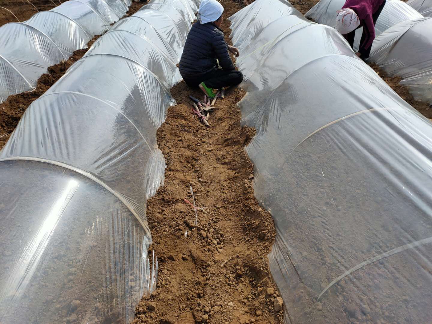 鸡泽龙泉疫情防控,鸡泽县疫情防控