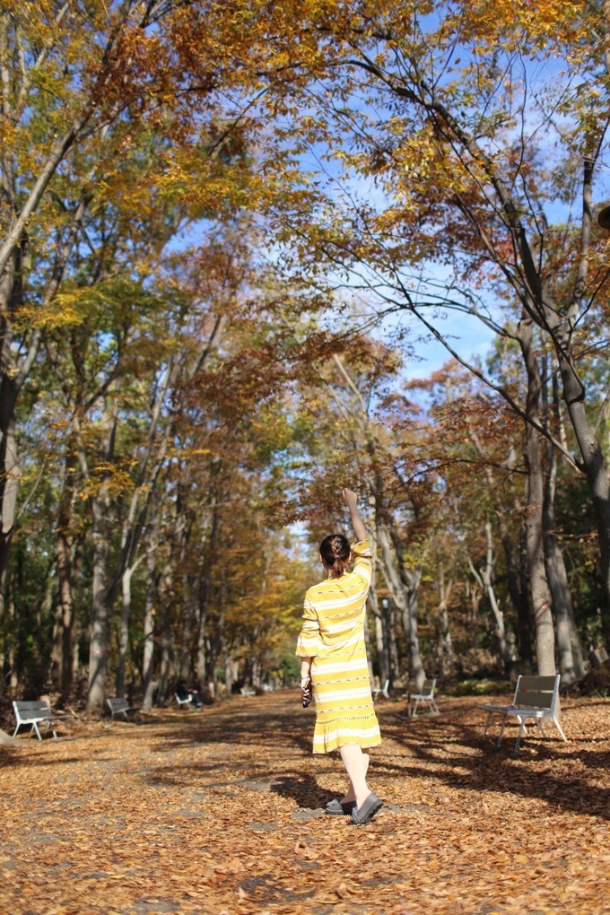 日本京都枫叶季旅游攻略,日本关西赏枫旅游攻略