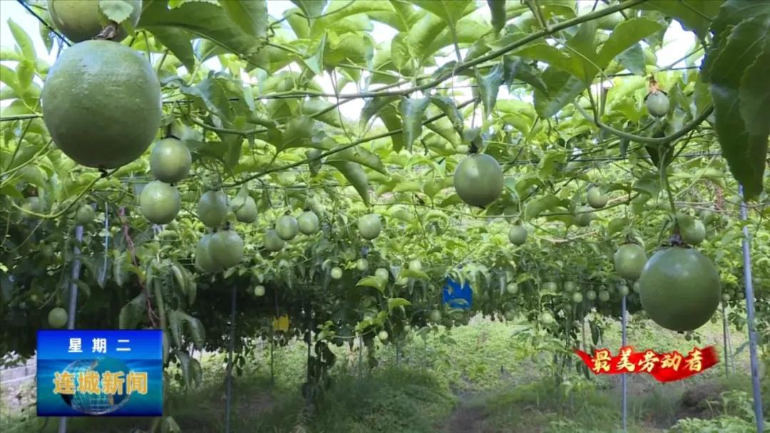 最美劳动者先进个人事迹,最美劳动者人物事迹湖北