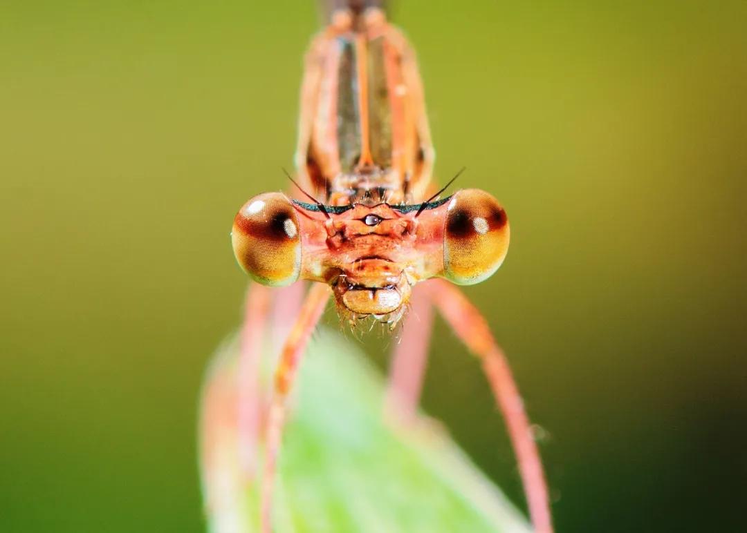 香港第14届全国摄影艺术展,第29届全国摄影艺术展览获奖名单