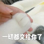 少儿《街舞》?街舞大神王晨艺联和街舞冠军,上演街舞养成计划