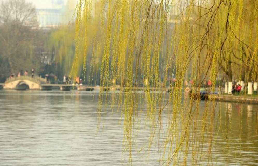 贺知章最著名的十首诗咏柳,咏柳贺知章简单赏析