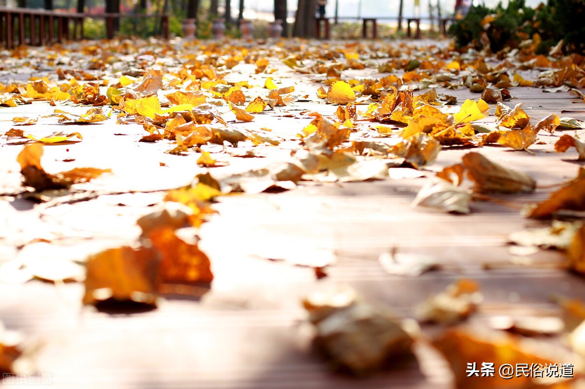 清明节女人上坟扫墓忌讳,今年清明节扫墓有什么忌讳吗
