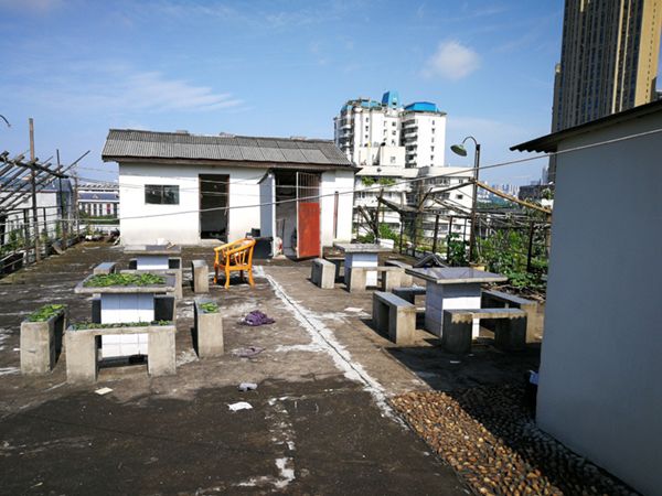 紫东苑长沙,长沙紫东园的风云人物