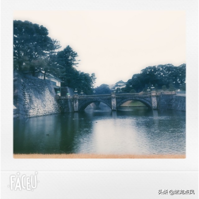 燃龙点凤带你鼠年春节玩日本东京名胜古迹