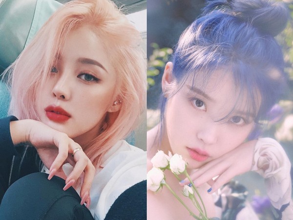 染发必看准则,染发频繁怎么办