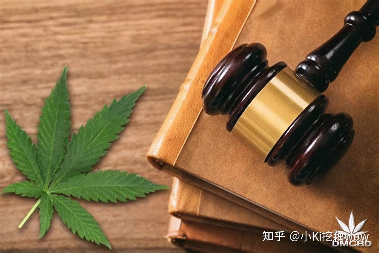 cbd成分为什么被禁用,cbd是什么成分的产品