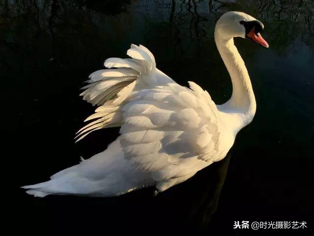 手机摄影人像创意作品教程,手机拍摄光影的艺术教程