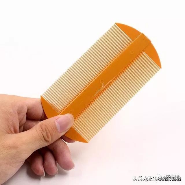 猫狗全身有跳蚤怎么消灭,猫狗身上的跳蚤怎么彻底清除