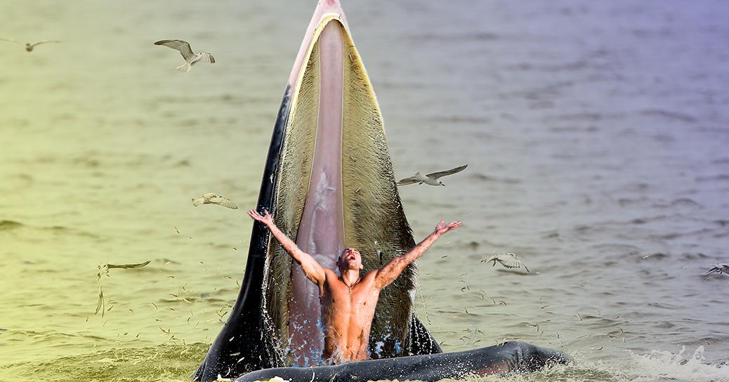 奇迹!男子被鲸吃掉,最终逃出生天,他是怎么做到的?