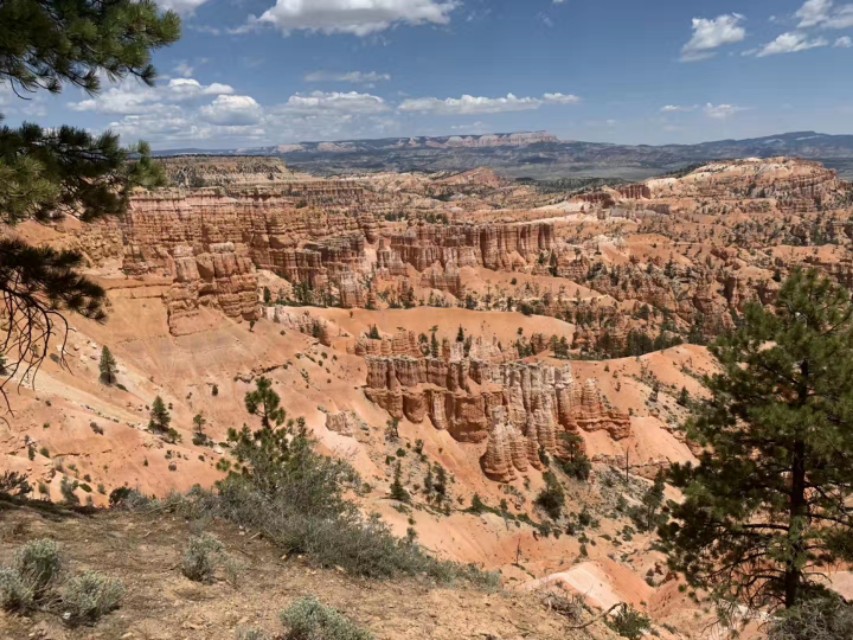 古诗词最好一句让人意难平的名句,诗词中难以启齿的19个字