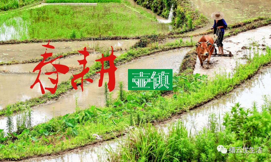 今日立春依旧寒冷入骨,今日立春期待美好图片