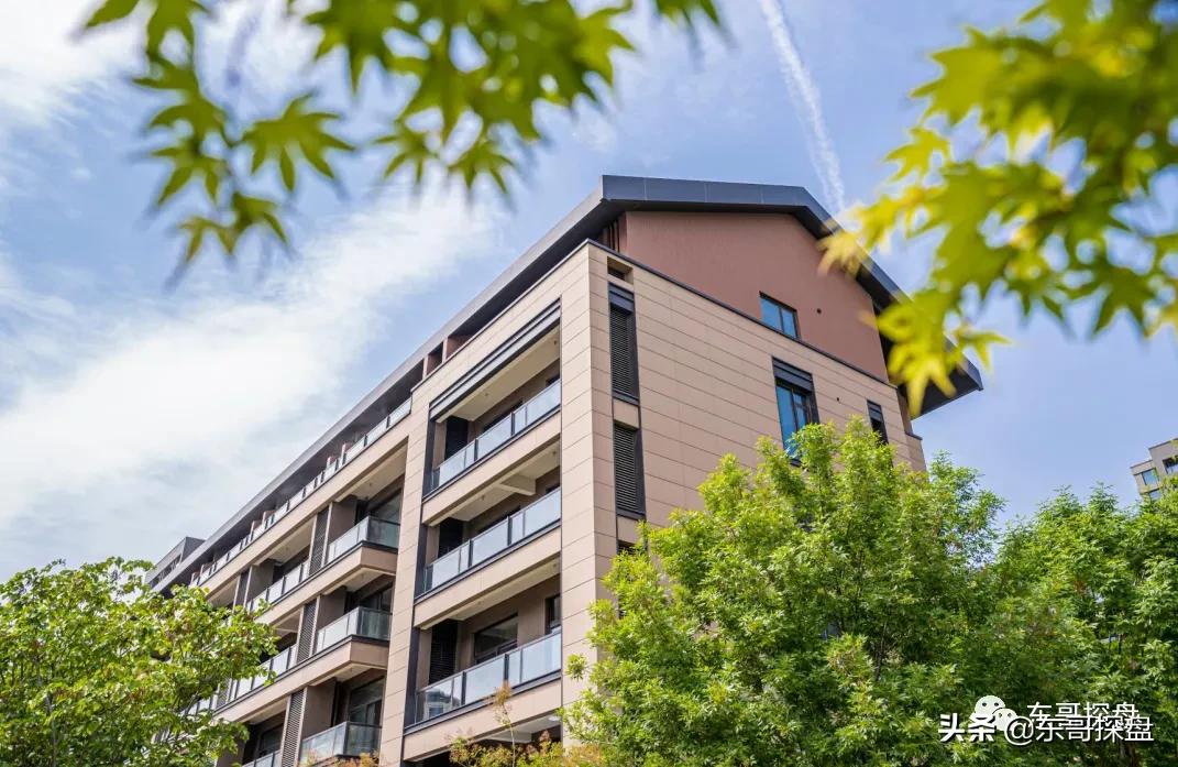 不输北龙湖顶豪,白沙已交付社区的NO.1到底长什么样?