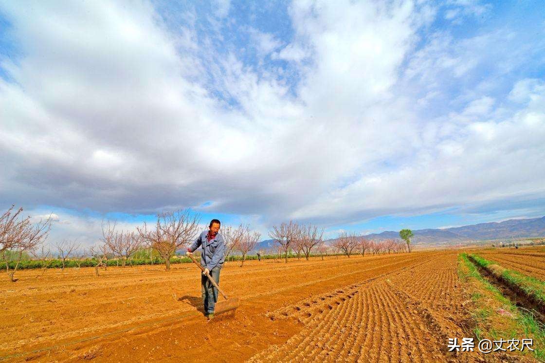 农民的土地流转粮食补贴款归谁,农民流转的土地可否贷款