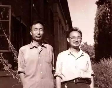 破解世界数学难题的中学教师,攻克世界难题的天才少年