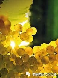 连巨星政要都亲睐的修道院葡萄酒庄你还不赶紧的｜尽在波黑福尔多