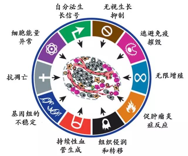 硬货的解析,硬货必买的10种