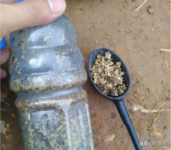 长满水草的河里如何钓鱼,长满芦苇的野塘怎么钓鱼