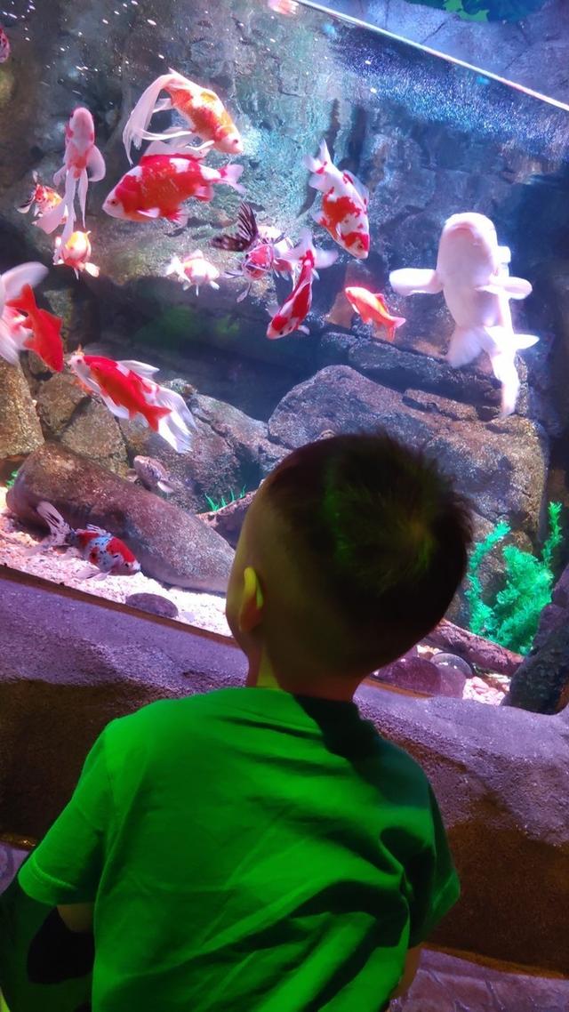 景点打卡日本名古屋乐高公园,日本名古屋乐高公园