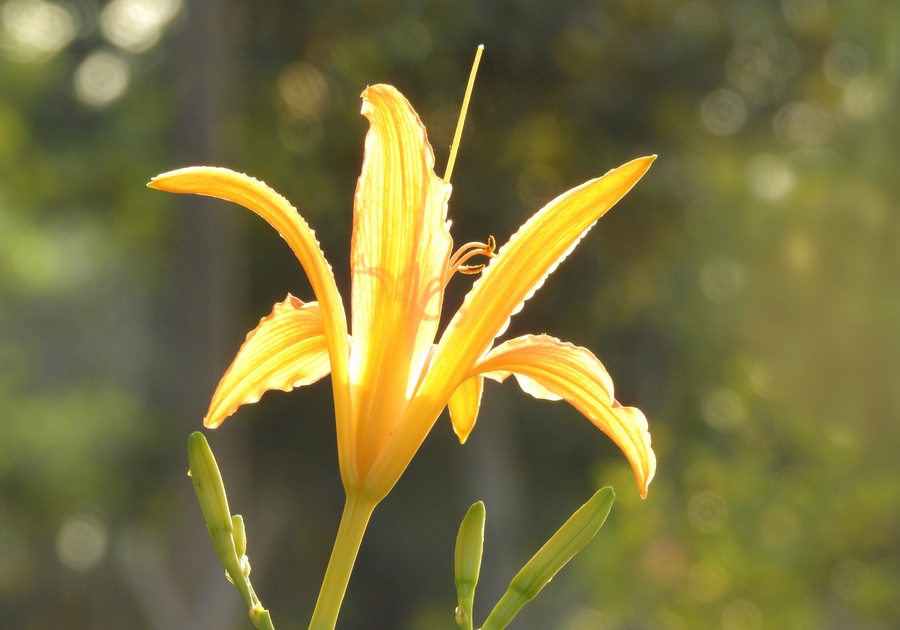 照片看起来很暗怎么办,照片发暗怎么调