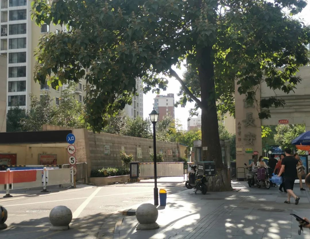 开心！长安区北宋路“焕然一新”，居住体验提升，房子更值钱了