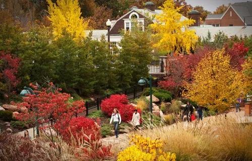 乐训星空:藤校不足0.5%的录取率说明了什么?