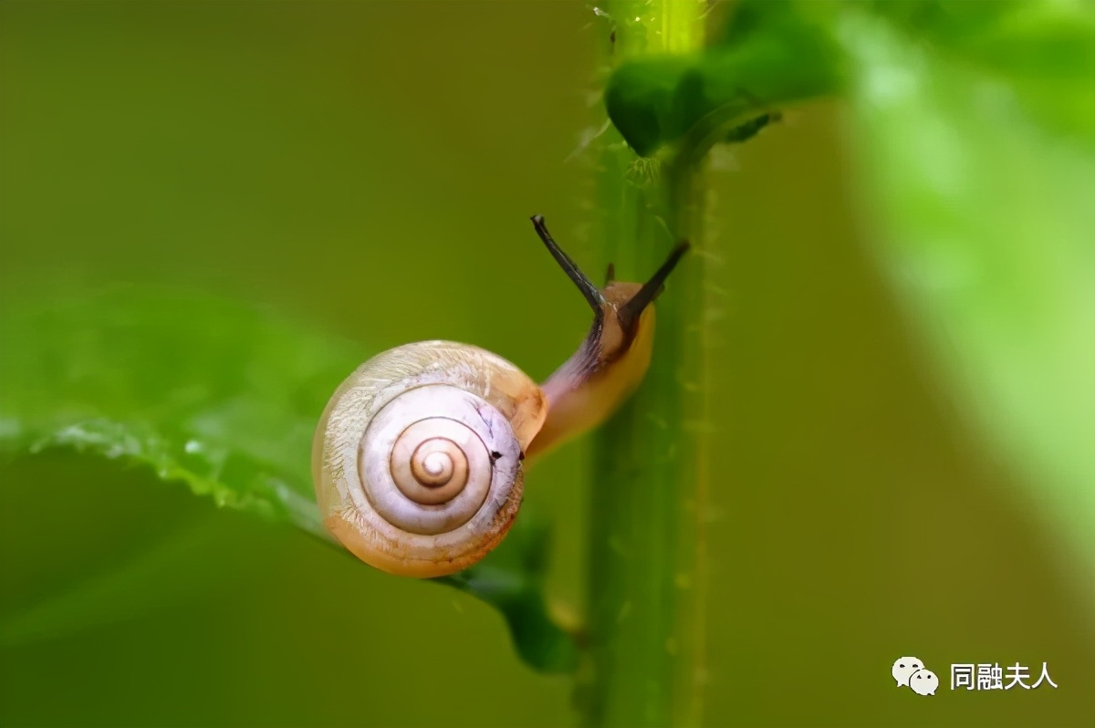 孙宏斌宏观微观中观,孙宏斌人格魅力
