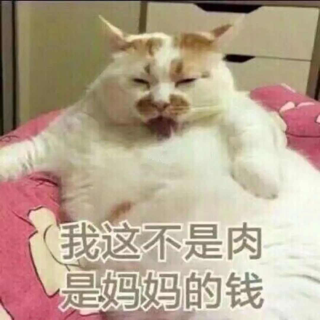猫咪挑食不怎么吃怎么办,猫咪怎样的表现证明它是挑食了