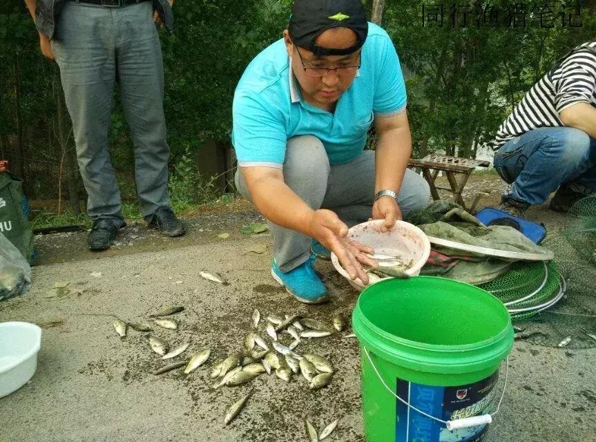 钓鱼记录2019,最新的钓鱼日记