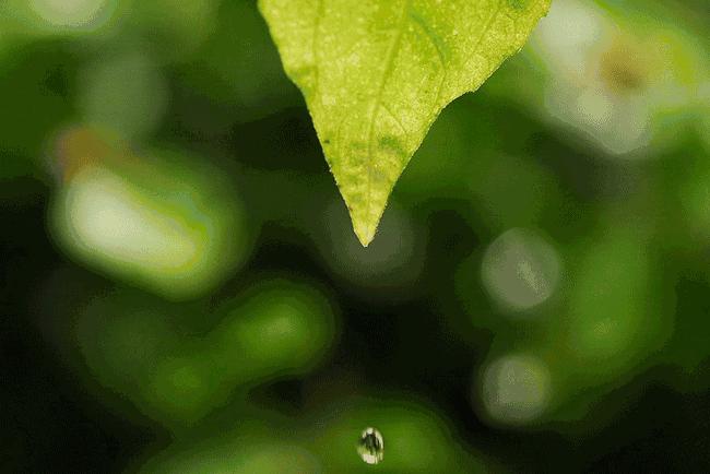 演技“崩坏”的佟丽娅，成功变“傻白甜”，美白方法大曝光