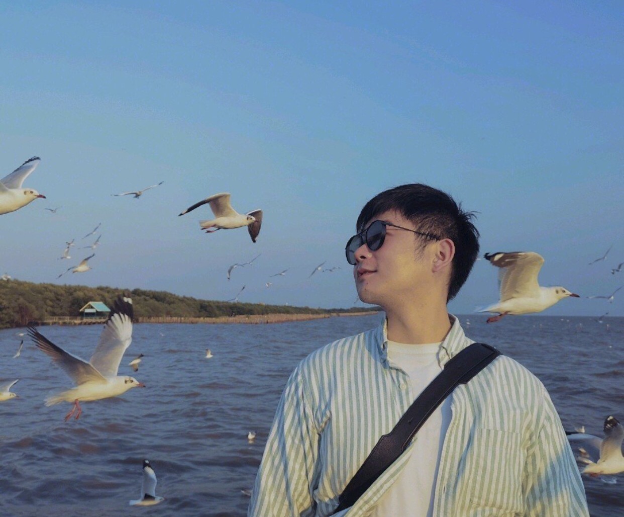 最好的时光遇见你免费观看,泰国5日经典旅游攻略