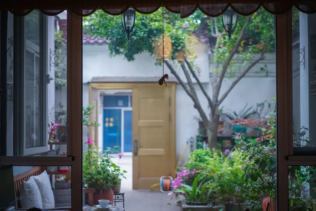 江阴最美院子图片,无锡江阴最美院子