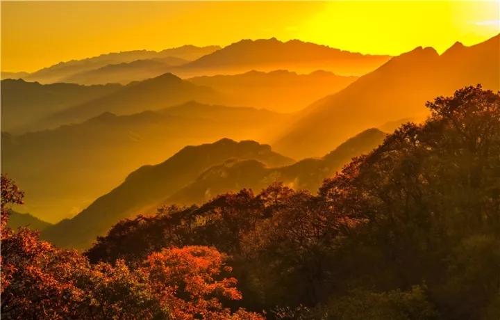 閫傚悎鏃呰鎷嶇収鐨刟pp,鏃呰鎷嶇収app鎺ㄨ崘