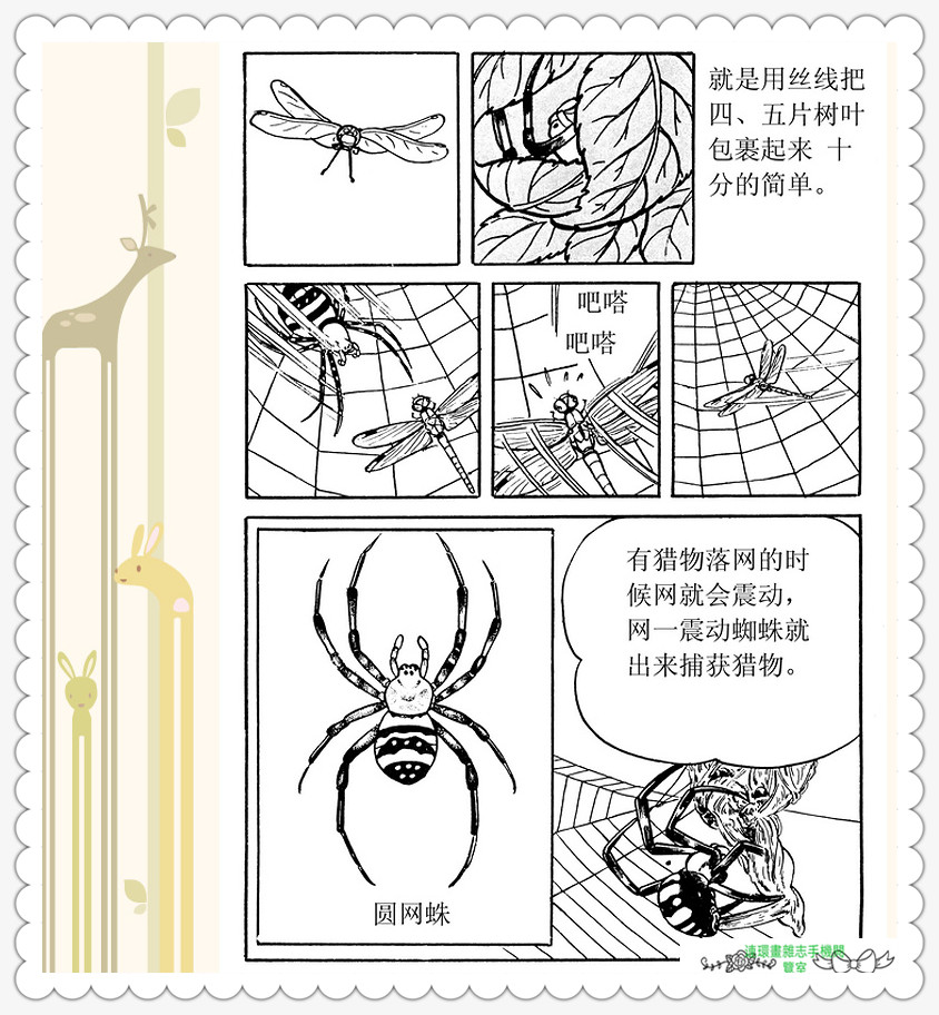 昆虫记法布尔正版全集,昆虫记法布尔阅读答案
