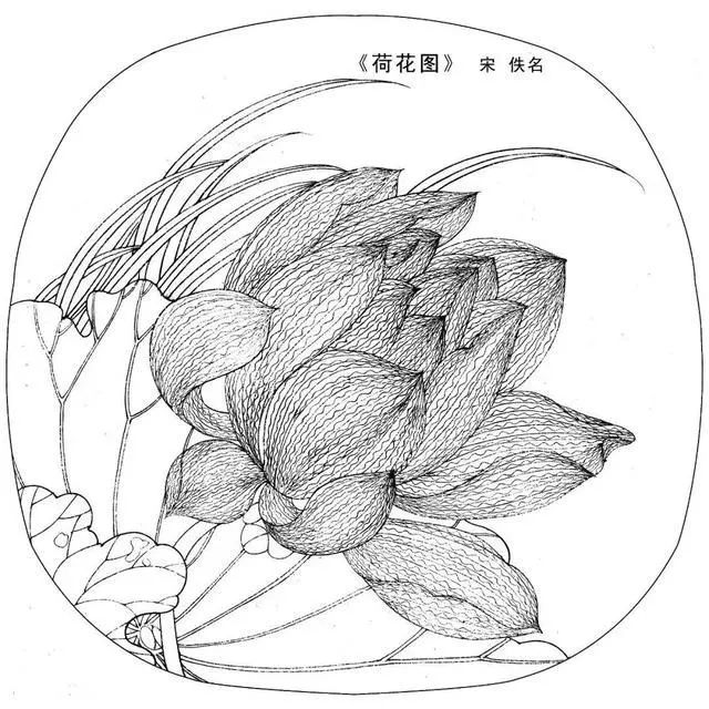 工笔白描底稿高清大图,宋人工笔画白描图片