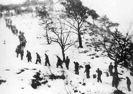 长津湖战役历史讲解简介,长津湖敌我兵力