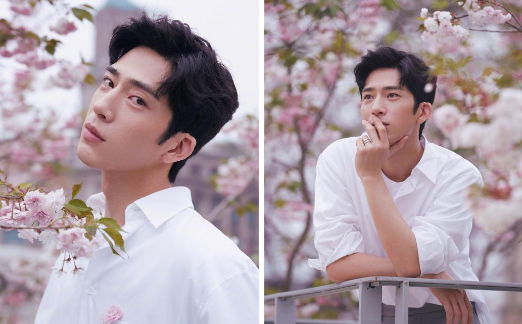 杨颖樱花与精灵妆拼图,刘嘉玲樱花美照